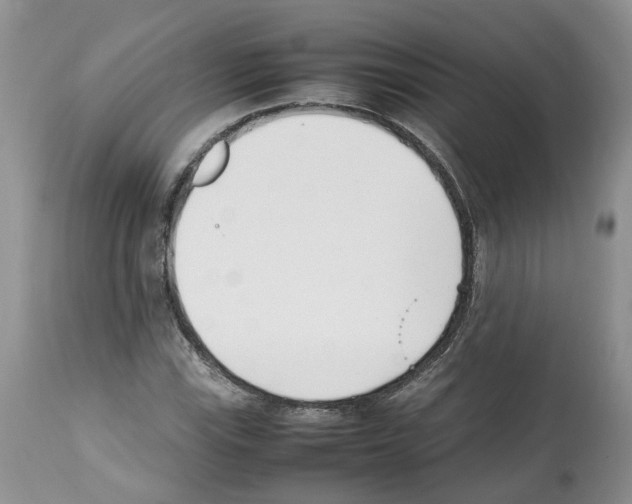 X0000112491115200909281126