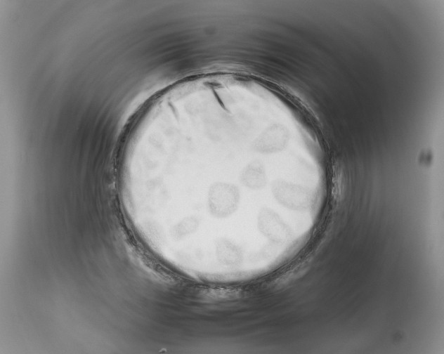 X0000112491117200909281126