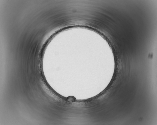 X0000112491118200909281126