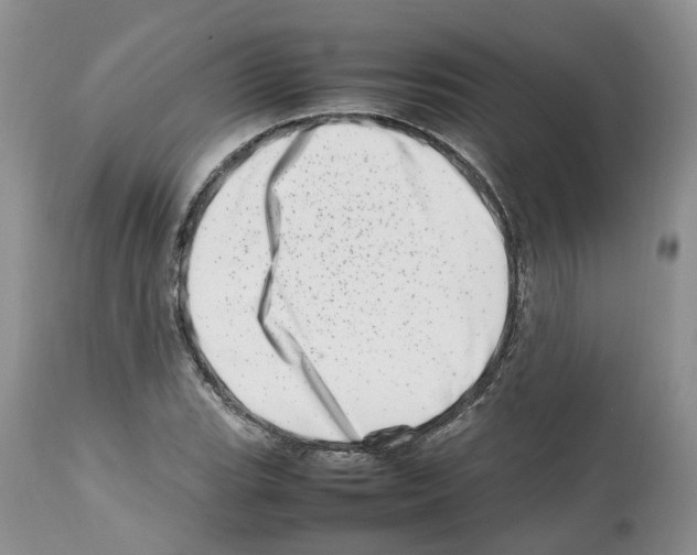 X0000112491119200909281126