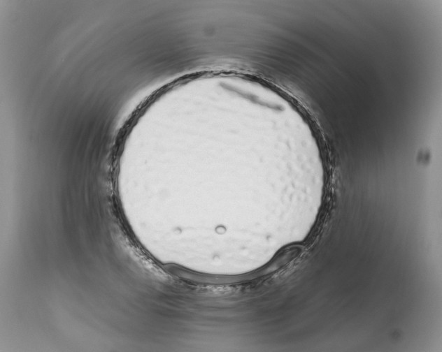 X0000112491120200909281126