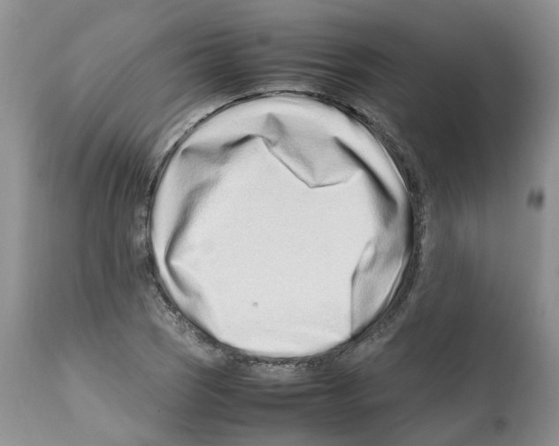 X0000112491121200909281126