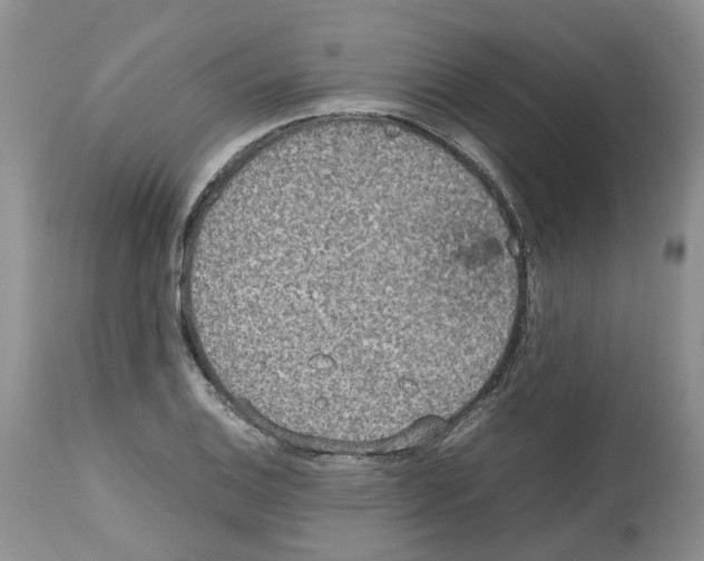 X0000112491124200909281126