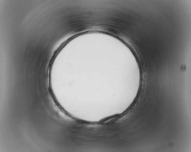 X0000112491127200909281126
