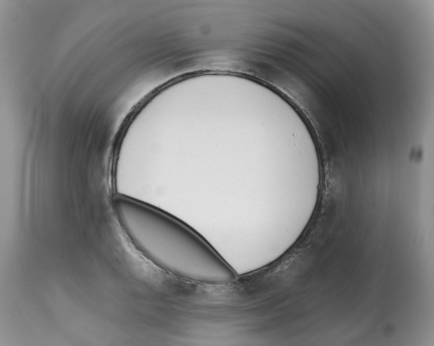 X0000112491128200909281126