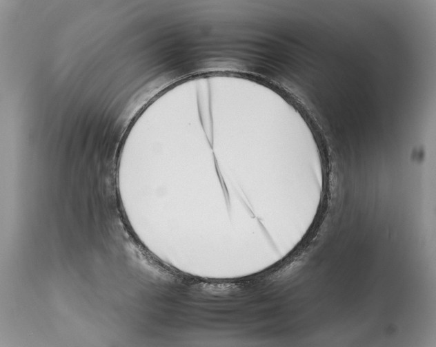 X0000112491129200909281126