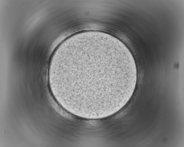 X0000112491130200909281126