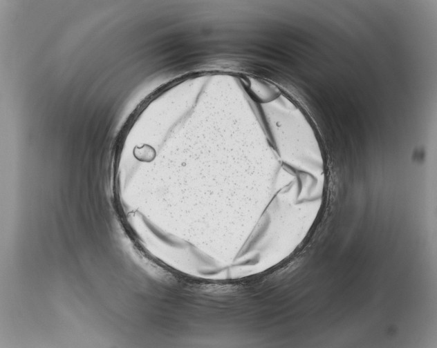 X0000112491131200909281126