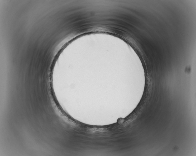 X0000112491133200909281126