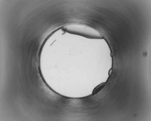 X0000112491136200909281126