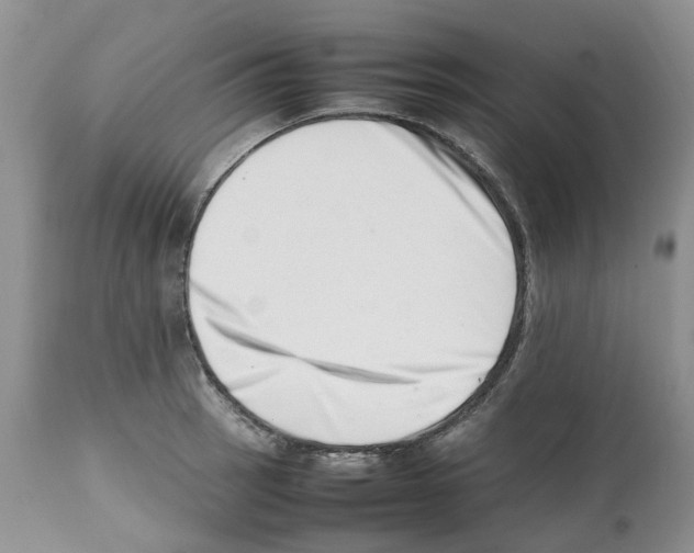 X0000112491137200909281126