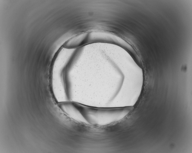 X0000112491138200909281126