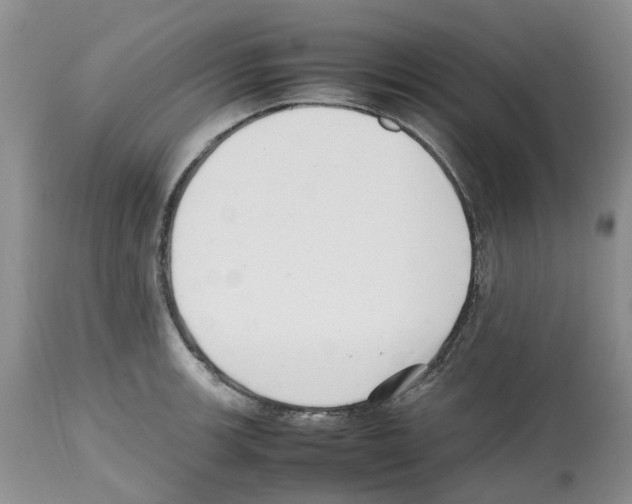 X0000112491139200909281126