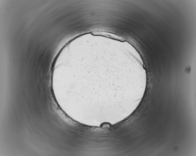 X0000112491140200909281126