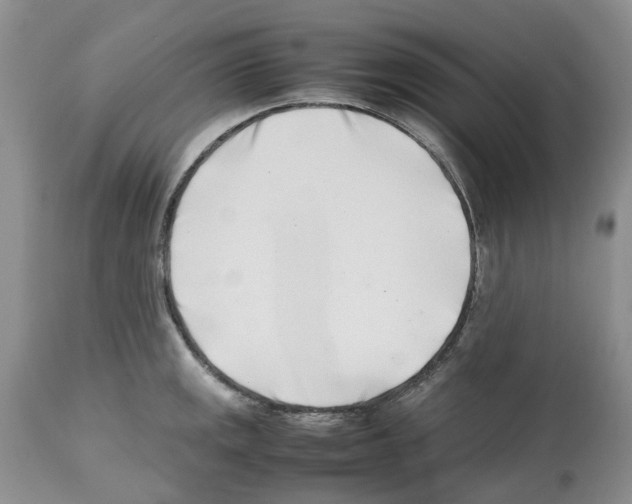 X0000112491141200909281126
