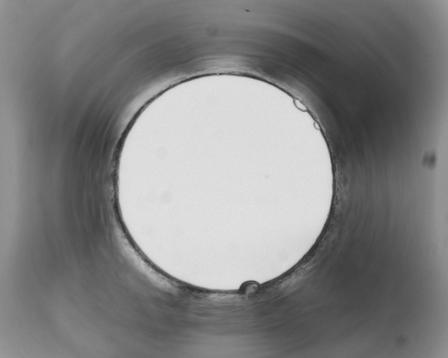 X0000112491142200909281126
