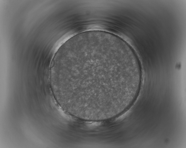 X0000112491145200909281126