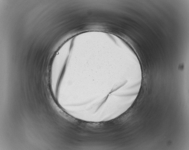 X0000112491147200909281127