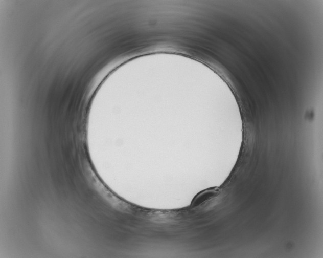 X0000112491148200909281127