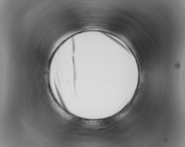 X0000112491149200909281127