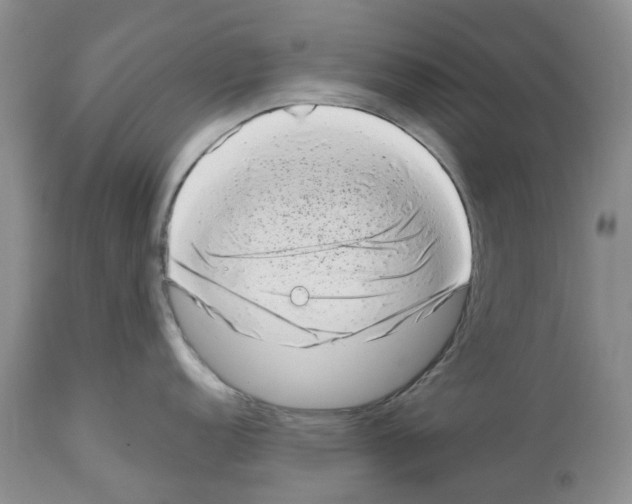 X0000112491152200909281127