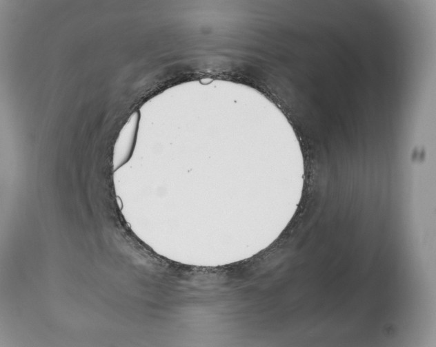 X0000112491153200909281126