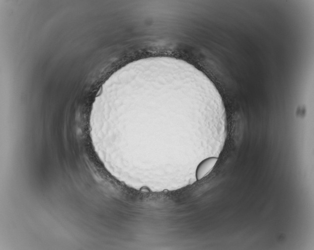 X0000112491154200909281126