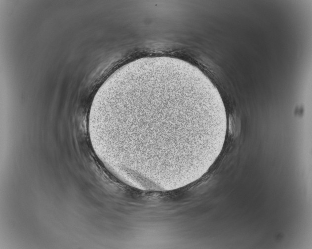 X0000112491155200909281126