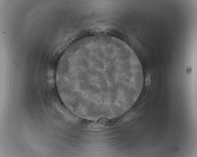 X0000112491156200909281126