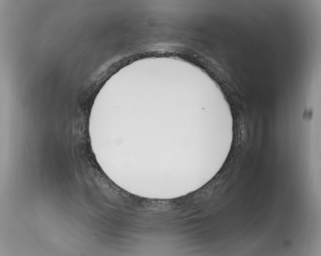 X0000112491158200909281126