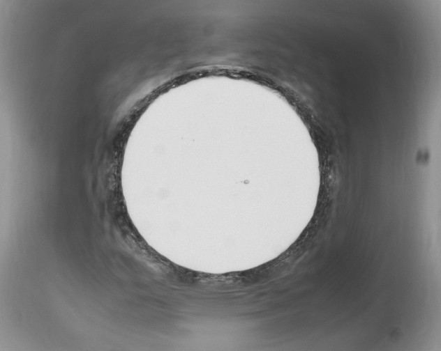 X0000112491159200909281126