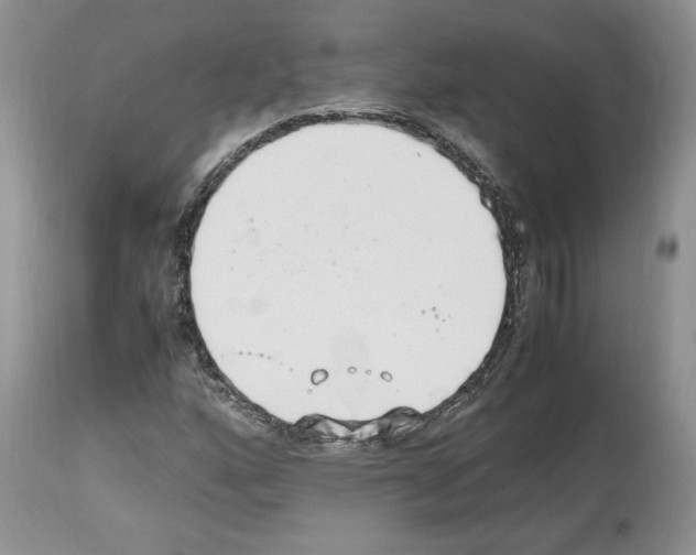 X0000112491160200909281126