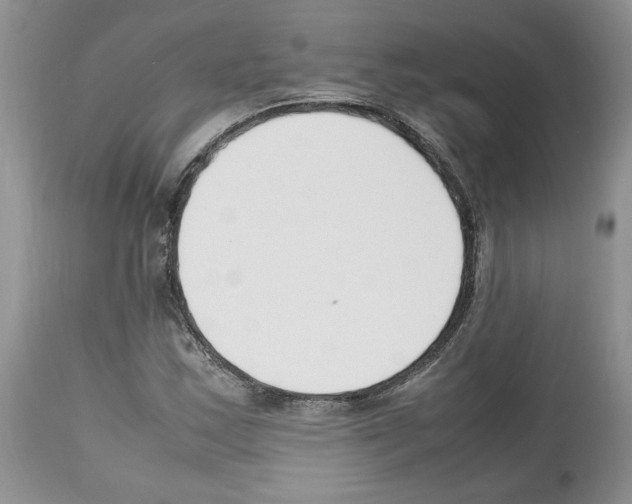 X0000112491163200909281126