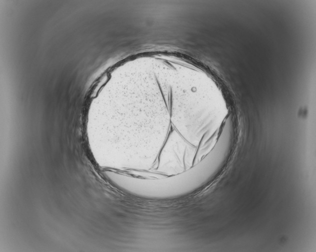 X0000112491165200909281126