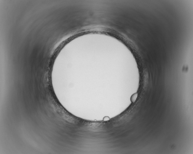 X0000112491166200909281126