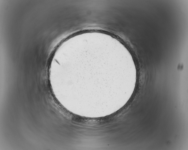 X0000112491167200909281126