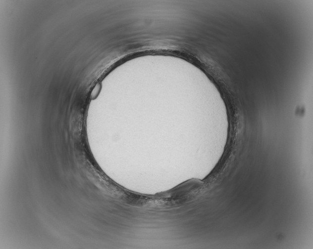 X0000112491169200909281126