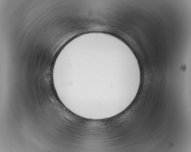 X0000112491170200909281126