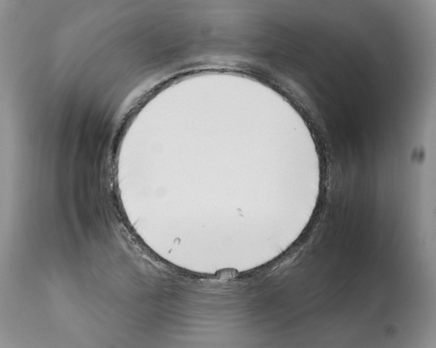 X0000112491172200909281126