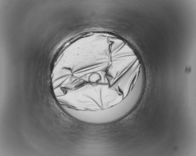 X0000112491173200909281126