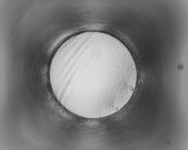X0000112491174200909281126