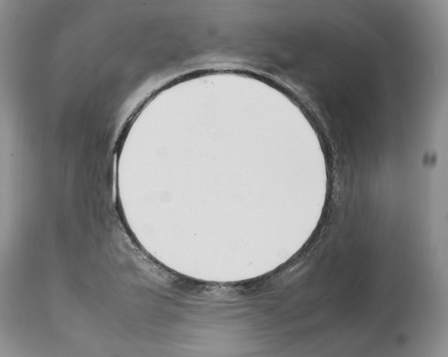 X0000112491175200909281126
