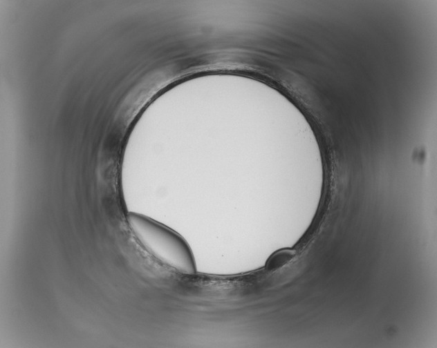 X0000112491177200909281126