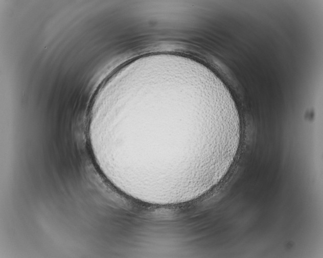 X0000112491178200909281126
