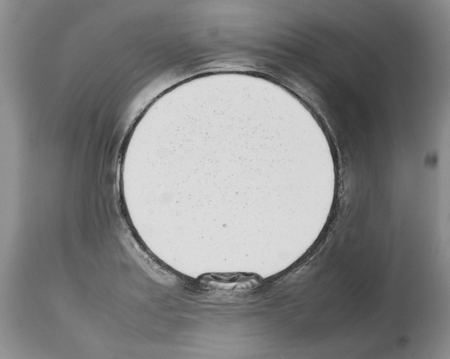 X0000112491179200909281126