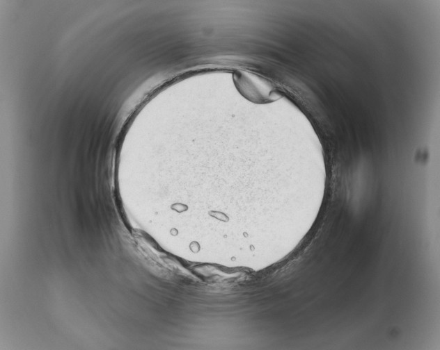 X0000112491180200909281126
