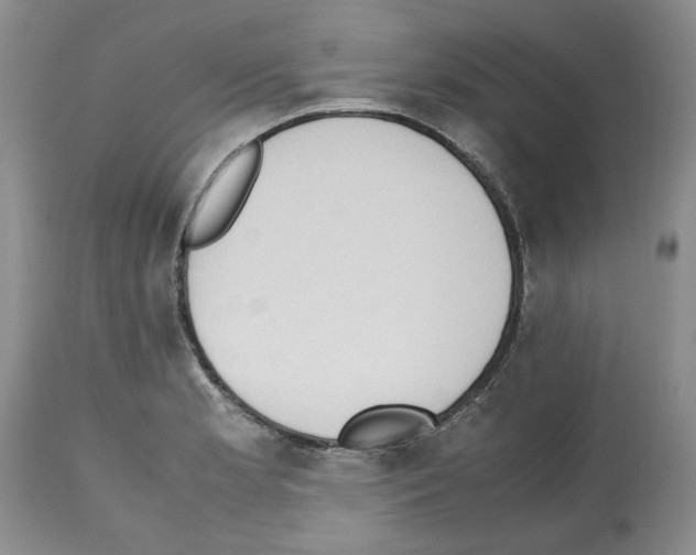 X0000112491181200909281126