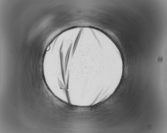 X0000112491183200909281126