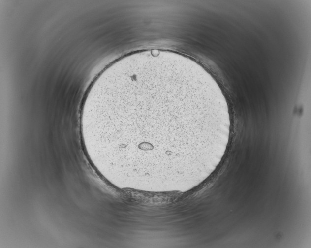 X0000112491184200909281126