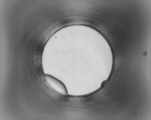 X0000112491185200909281125